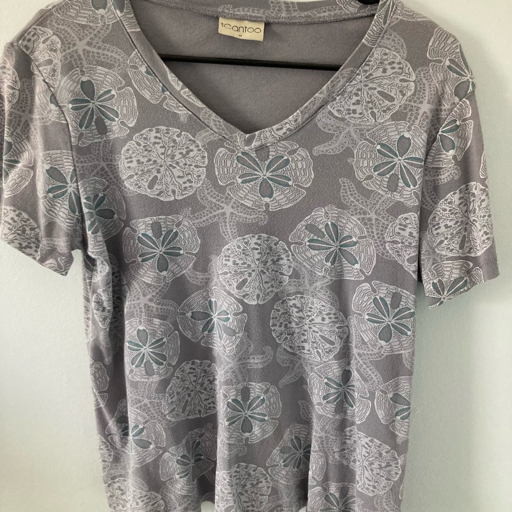 Sand dollar top